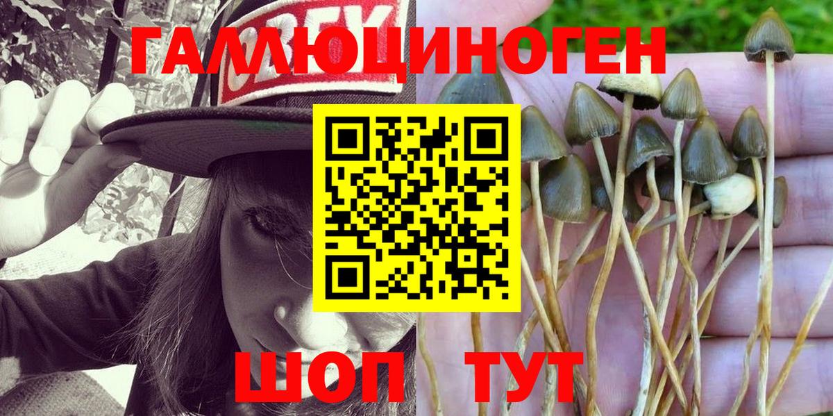 Чапаевск  Псилоцибиновые грибы Magic Shrooms  Вход с VPN  Галлюциногенные грибы ЛСД 